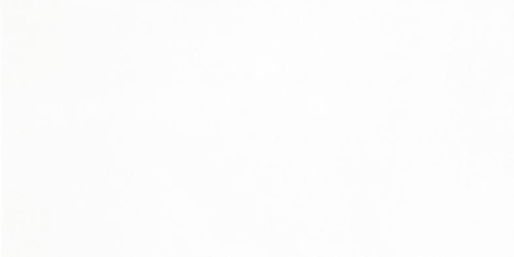 Wandfliese | Lasselsberger | Color 1 | weiß | 20x40cm