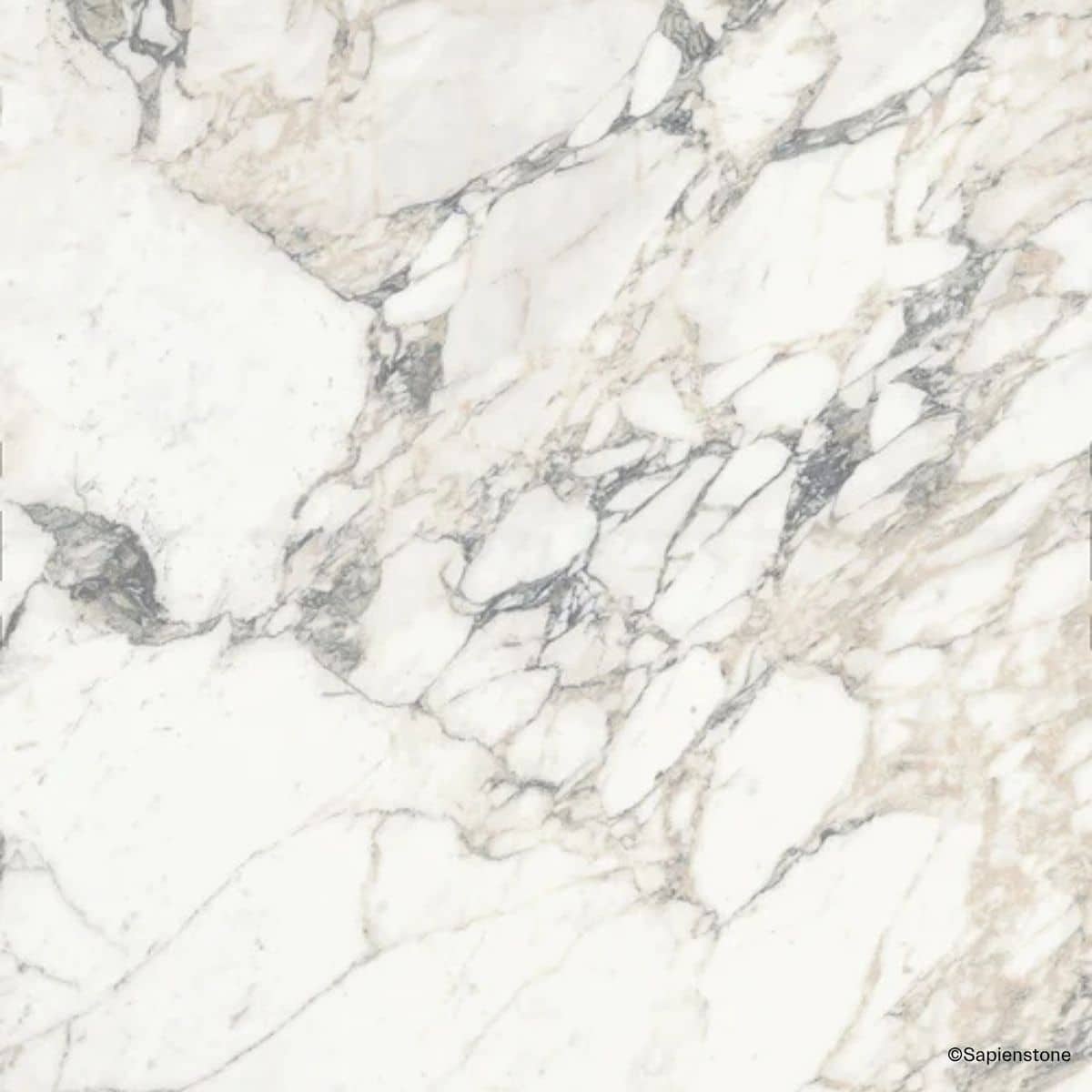 Sapienstone Marmoroptik-Fliesen im Stil der Marmorsorte Arabescato