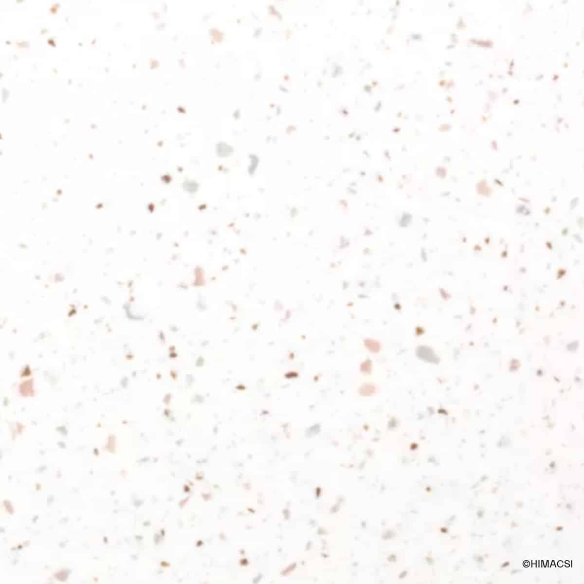 HIMACS Terrazzo Marsala Terrazzooptik-Platten